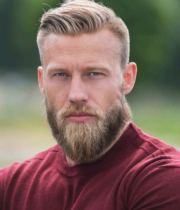 Great Beard Styles