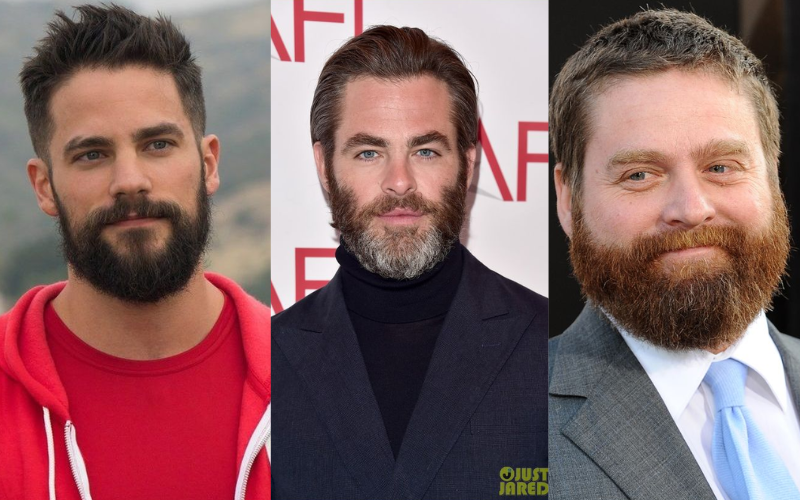 Great Beard Styles